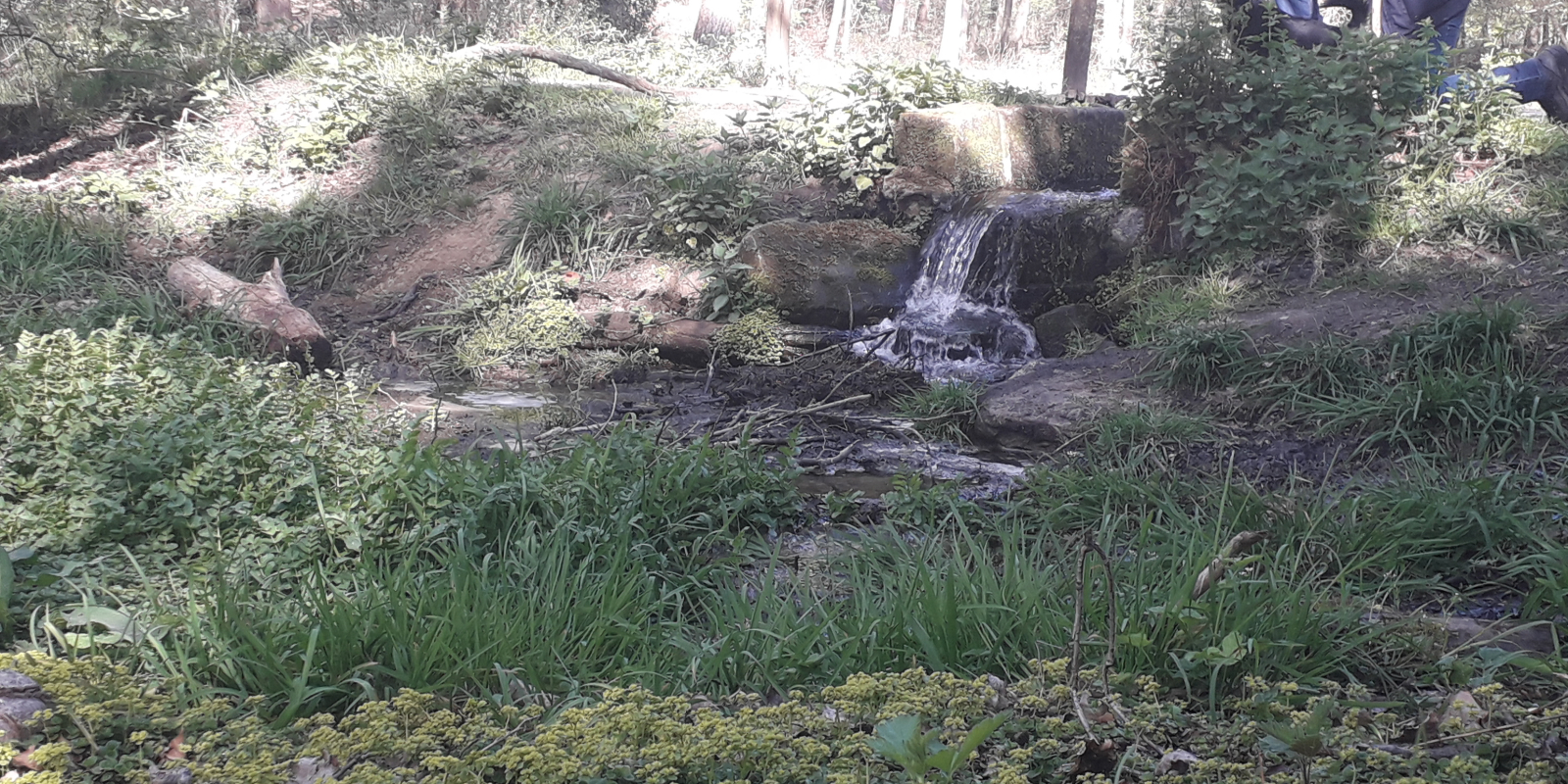 foto-chris-van-benthem-profiel2-springendal