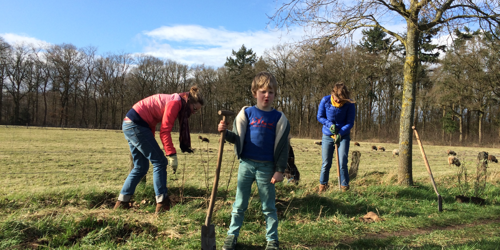 MB_Doe mee met Hoopheggen