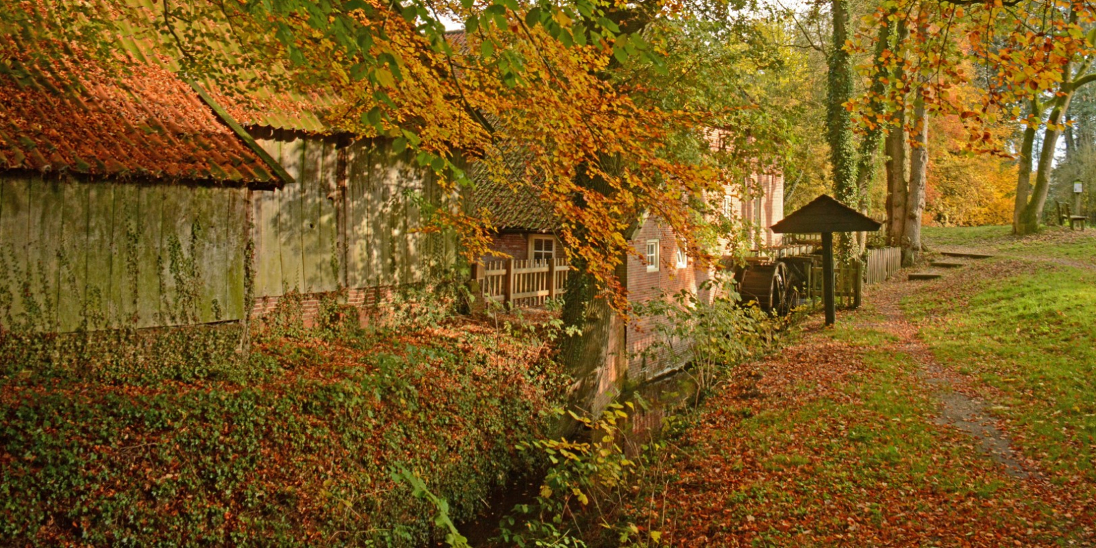 Header Watermolen Frans