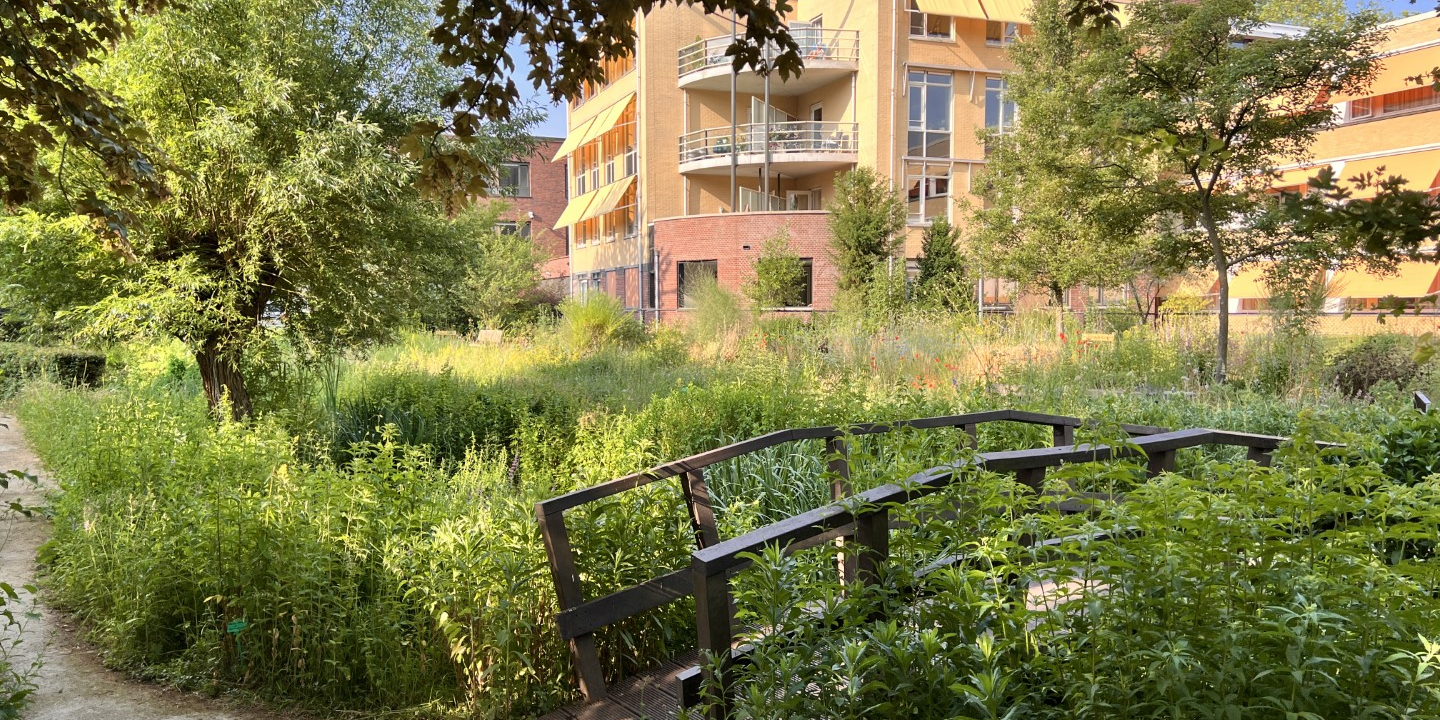 NKL Heemtuin Veermans Hof IJsselflora Wijhe (6)