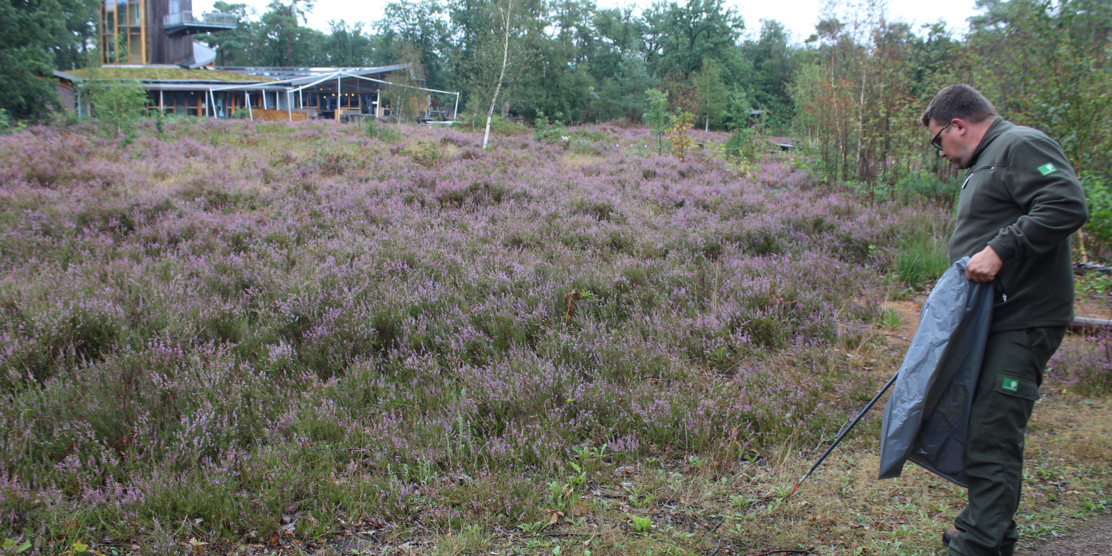 GB CarinvdPloeg KJWestra heide
