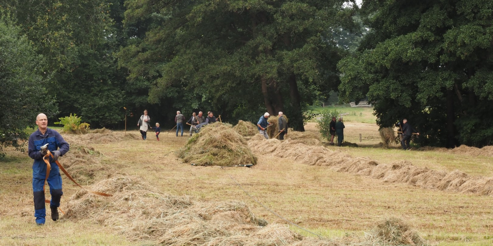 NKL 1 Appellaantje 2020 (Large)