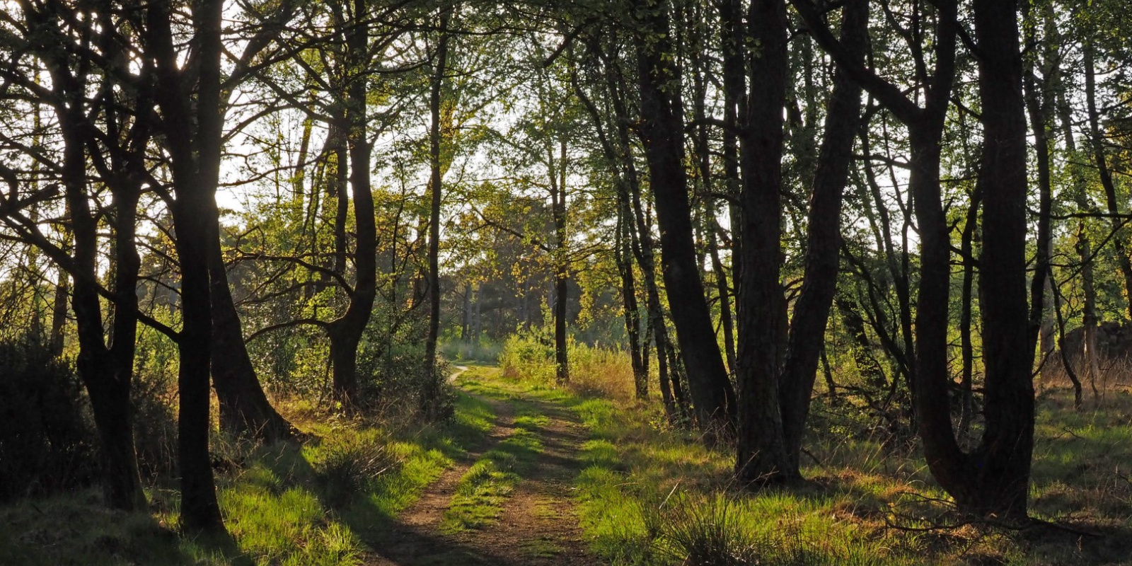 NKL Boetelerveld voorjaar (31) (Groot)