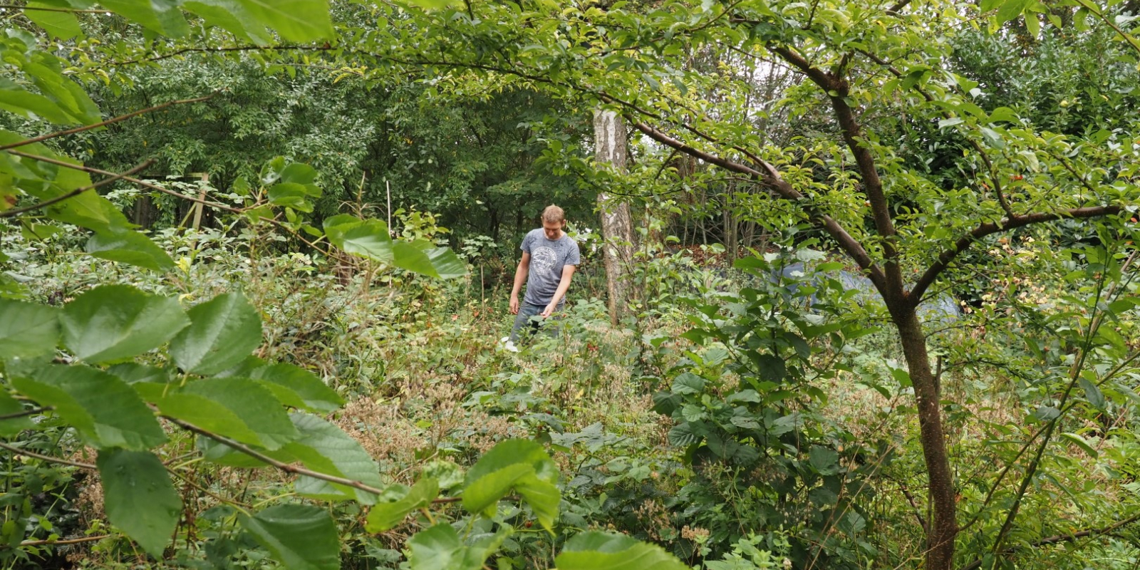 NKL De Voedselboss  (6)