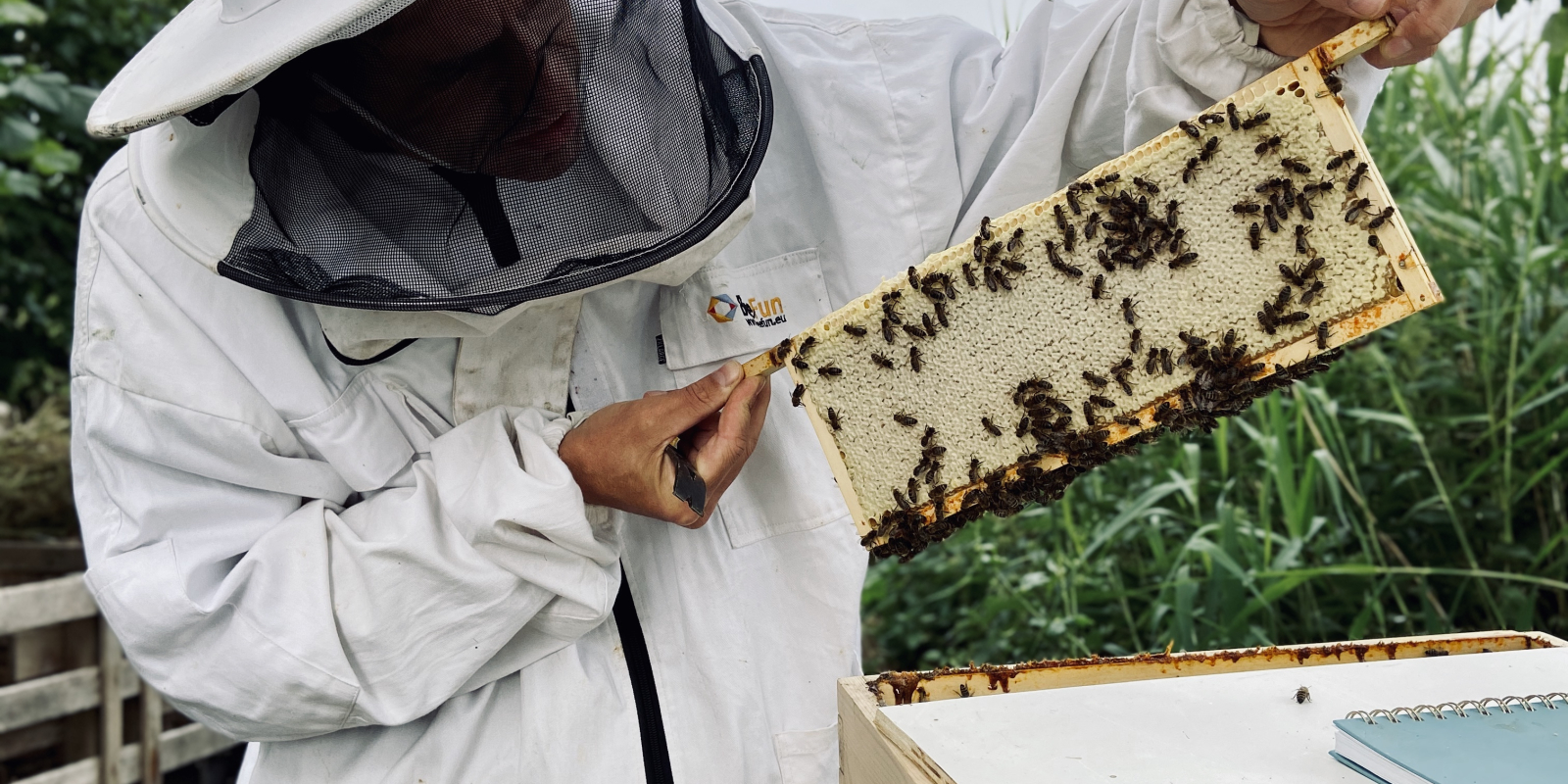 Eric Mahieu Afbeelding1