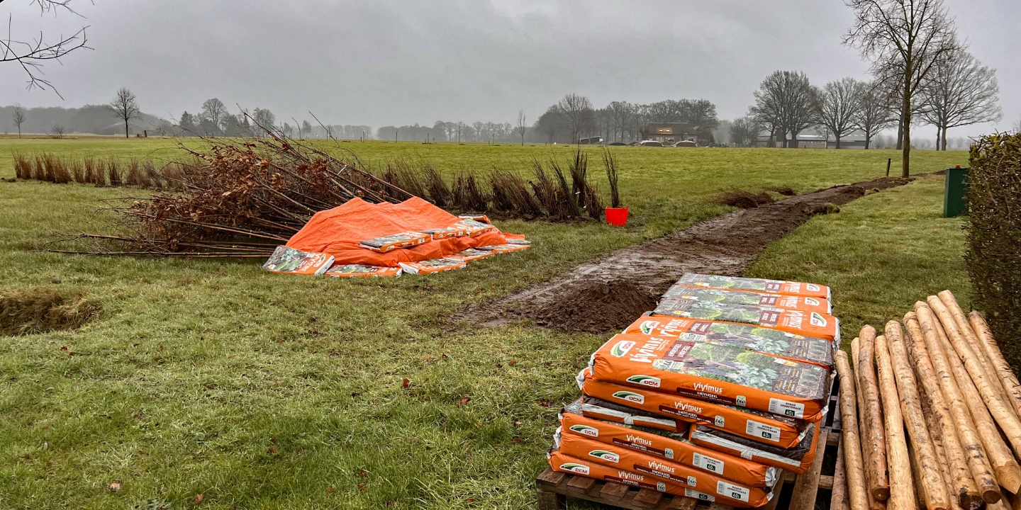 Bomen en heggenfestijn Wijhe (1)
