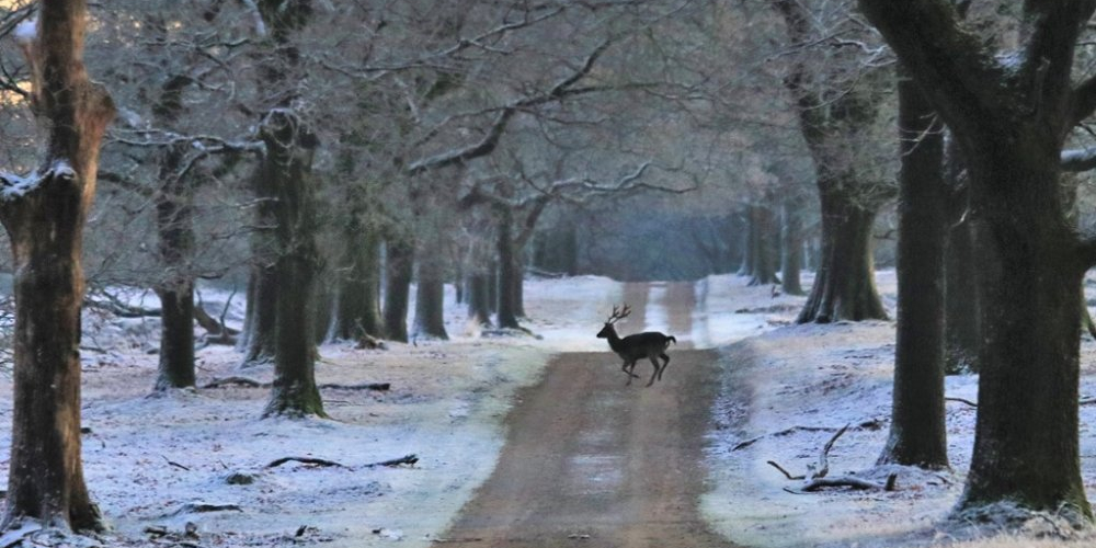 winter deelenseweg-1
