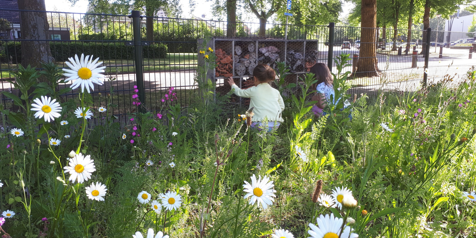 bijenplek-bij-basisschool-het-avontuur-in-dalfsen-marije-ruijter
