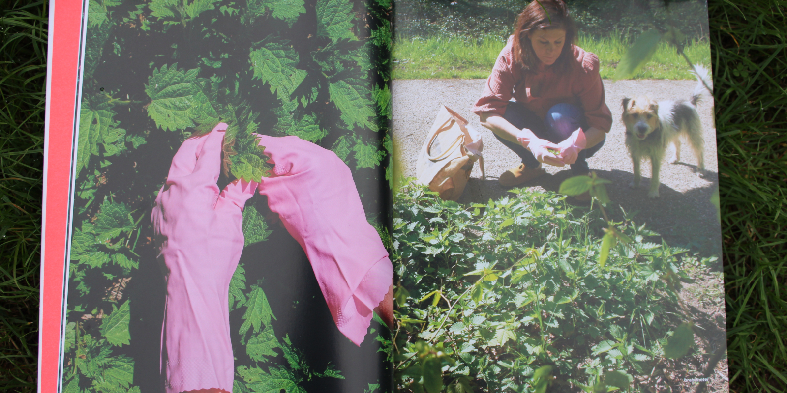 Boven-in-het-wild foto