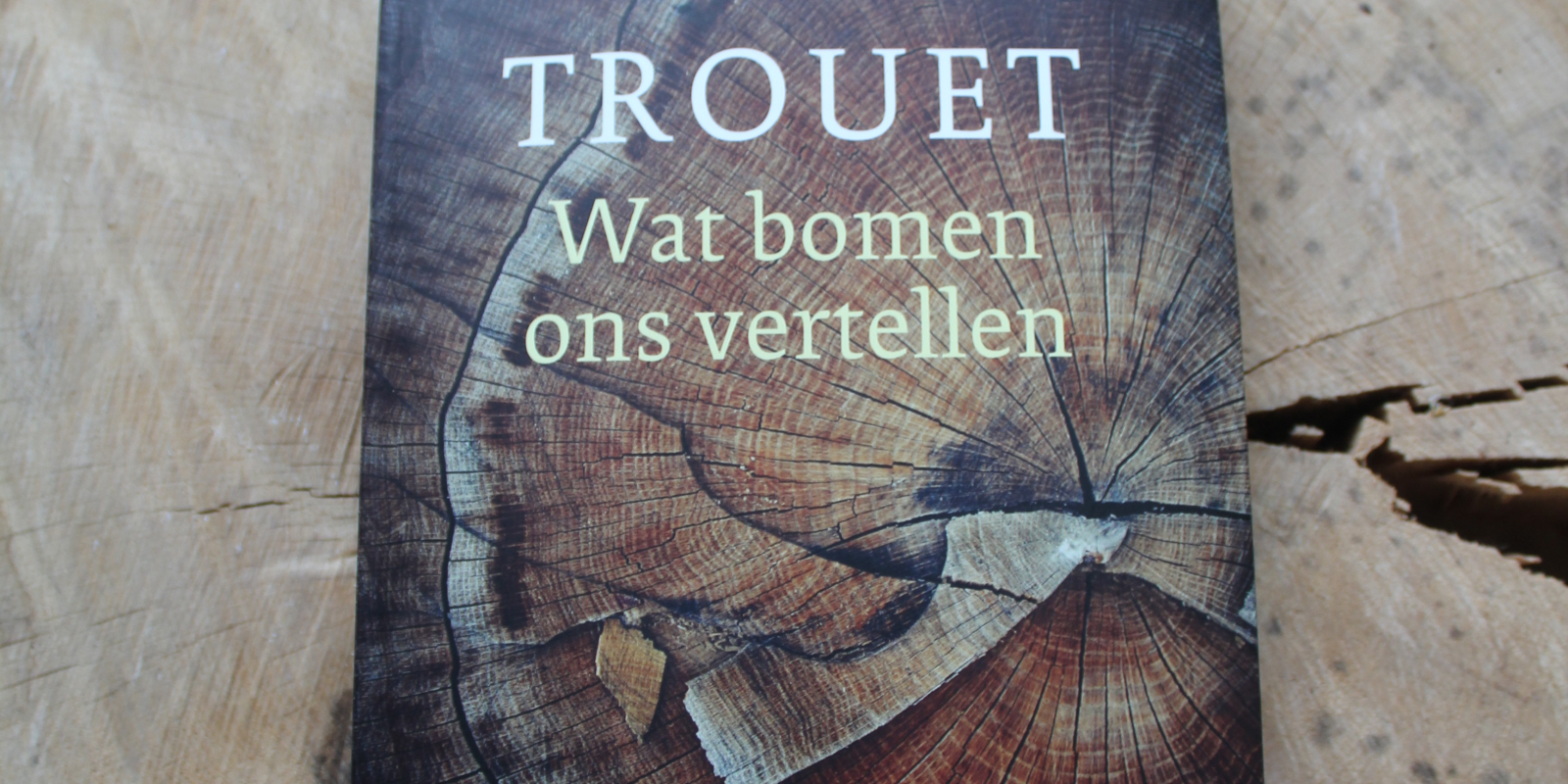 CB- recensie Wat bomen  ons vertellen