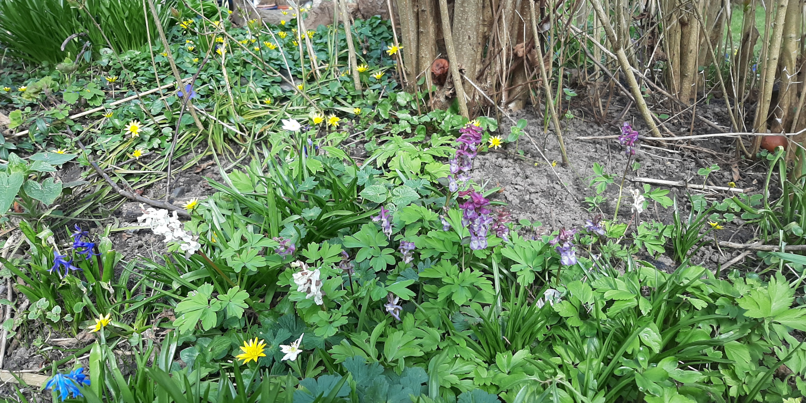 GB meanderhof voorjaars 2021