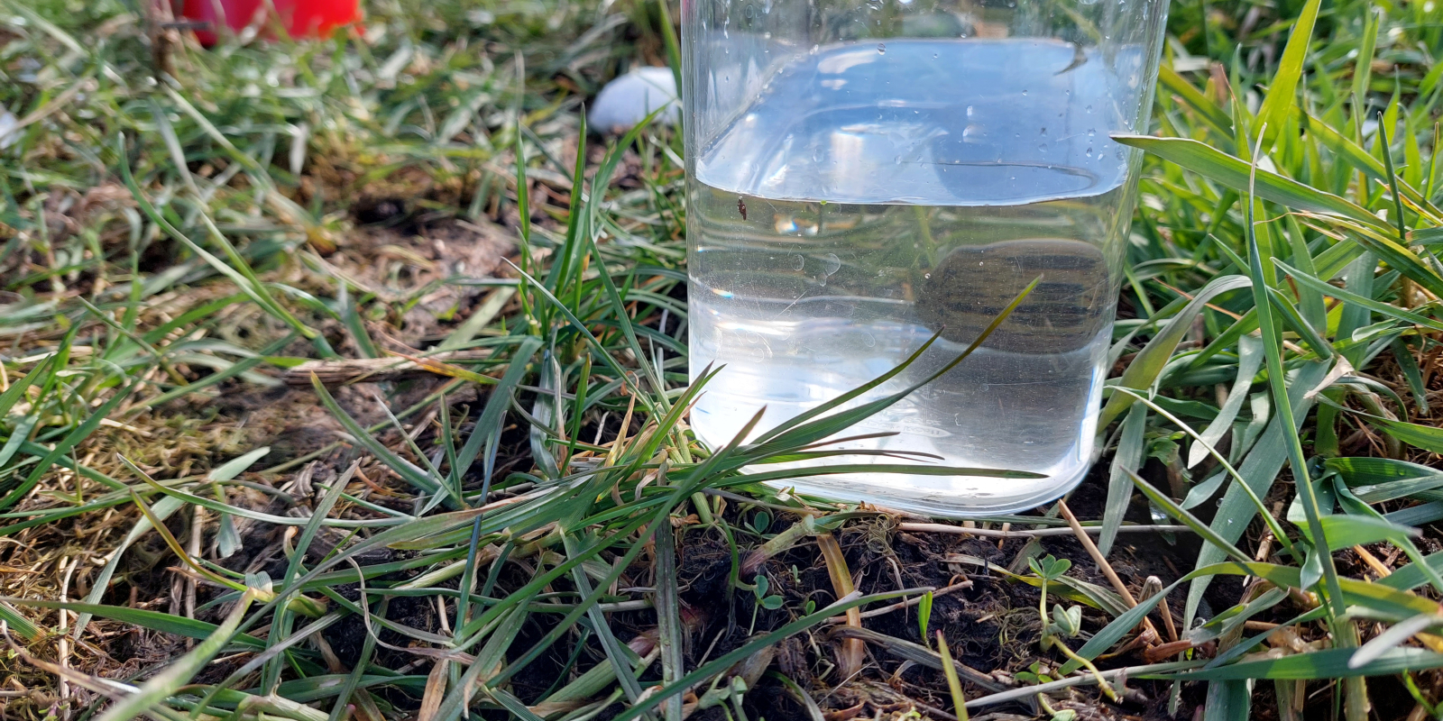 eerste kievitsei 2023: de test