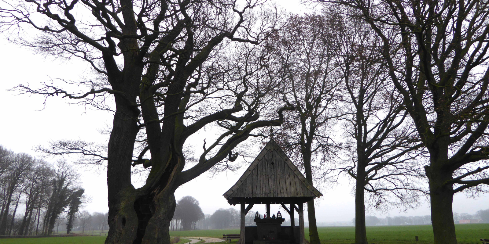 231201 wintertips Kroezeboom