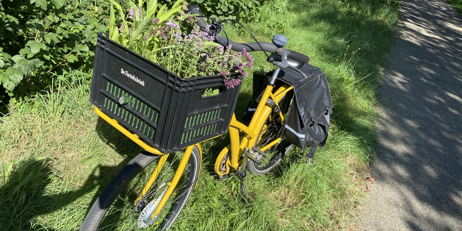 Gele fiets met waardplanten in mand