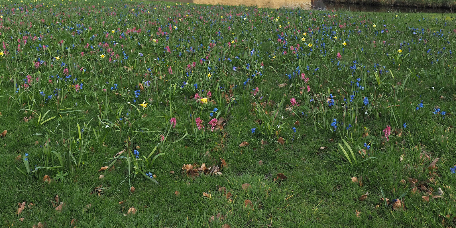 drenthepad-8-roden-eelderwolde-11kopiekopie