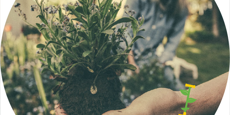 Groenbezig-facebookkader_Voorbeeld