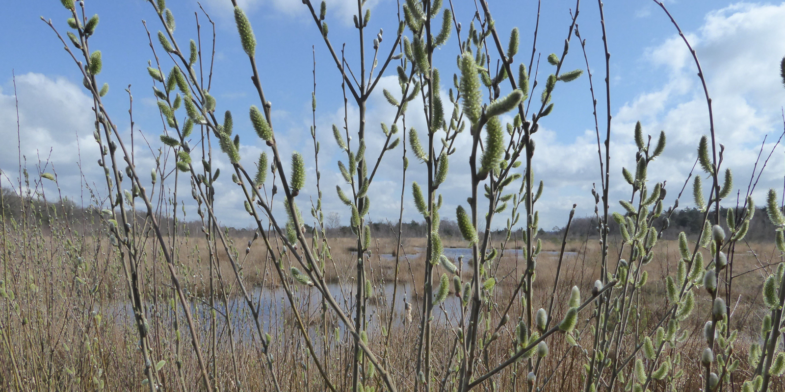 240314 voorjaarstips 1