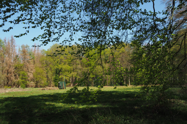 Weiland met dasmobiel