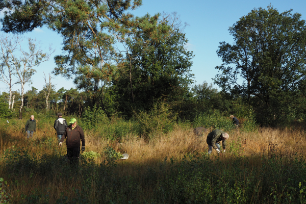 opslag verwijderen Boetelerveld
