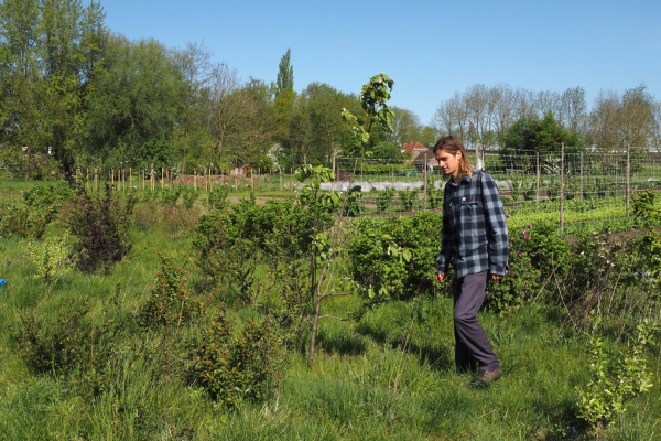Tweeluik voedselbossen: Zwolle