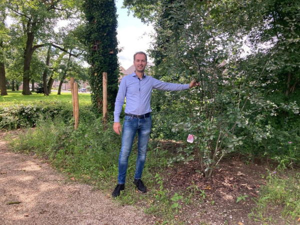 Krentenboom voor ecotuin Hoog Schuilenburg