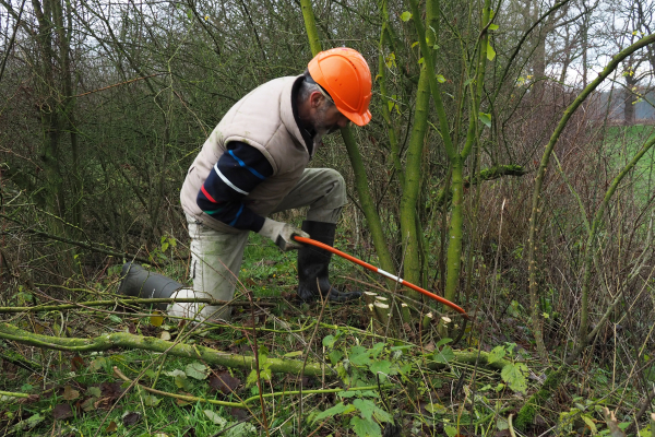 Bosopslag verwijderen