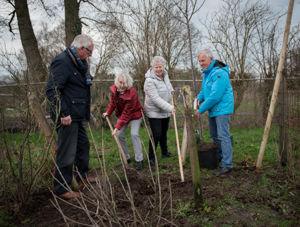 Stadslandbouw wint twee bomen uit de boomcirkel
