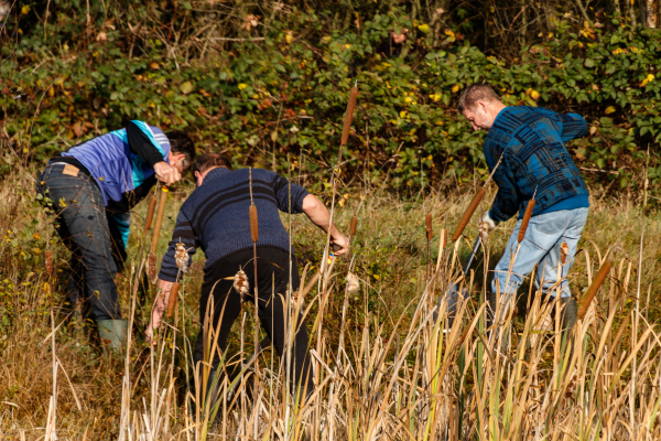 Bijna 1.600 deelnemers Natuurwerkdag 2019!