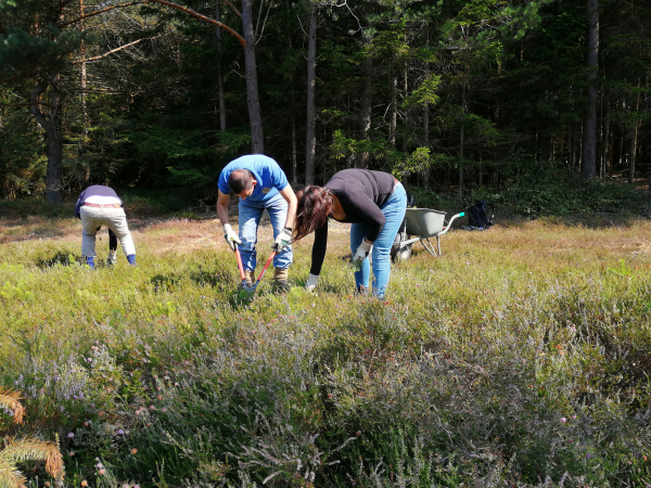Werken op de hei