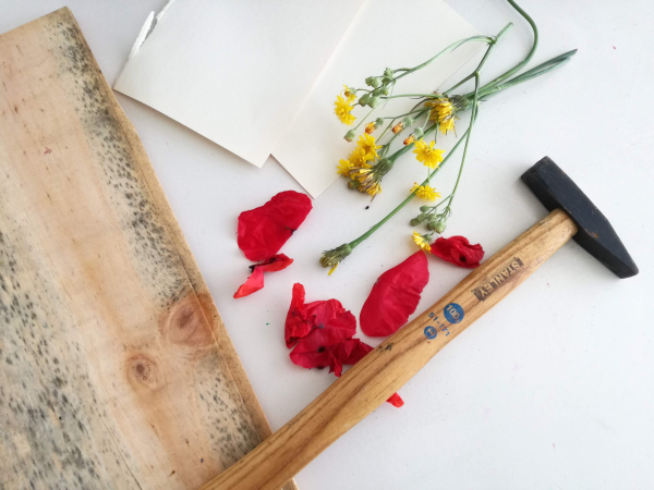 Hapa Zome: Benodigdheden