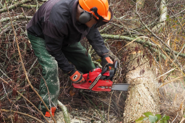 werken met de motorkettingzaag