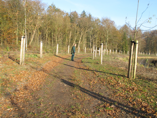 Boomverhalen - Groene Loper Hof van Twente