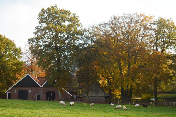 Verborgen in het glooiende landschap. Watermolen Frans