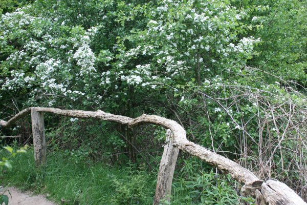 Nieuwe elementen worden gemaakt van materialen uit de natuur