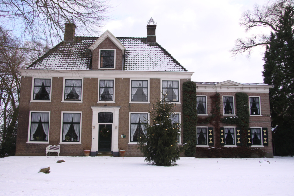 EnHOe helpt kerstbomen de wereld uit