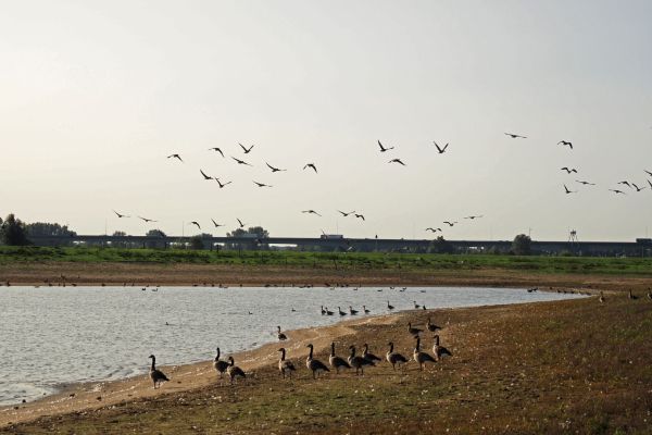 De toeschouwers stromen toe