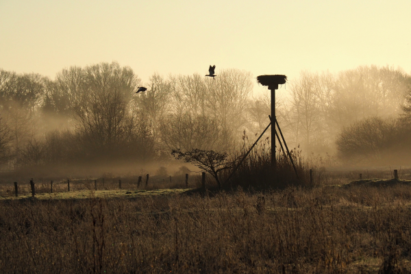 genieten van de natuur