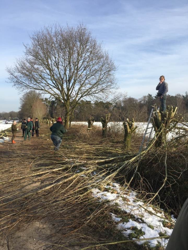knotten in een echte winter