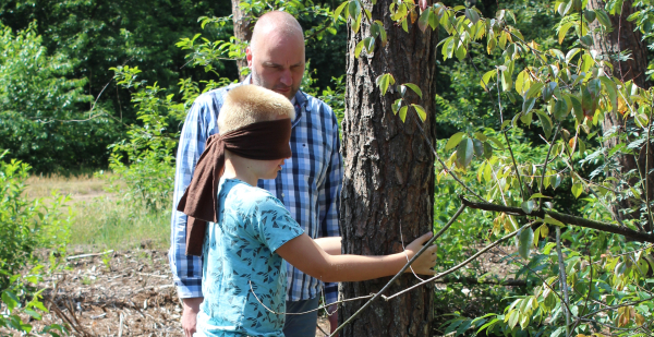 Op bossafari op de Hellendoornse Berg met Staatsbosbeheer