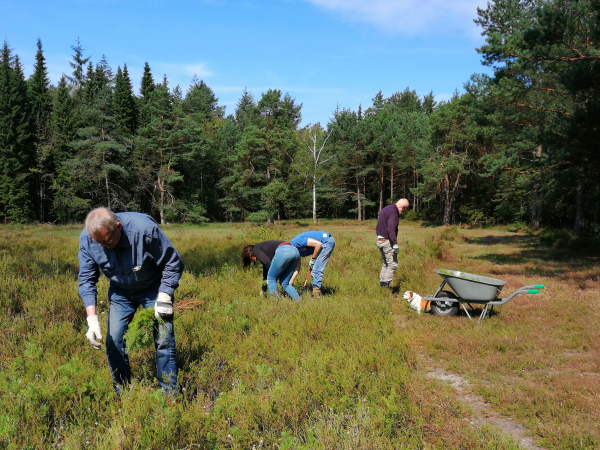Vitamine G voor jong dementerenden