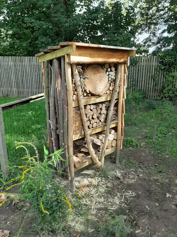 insectenhotel vluchtelingenwerk1