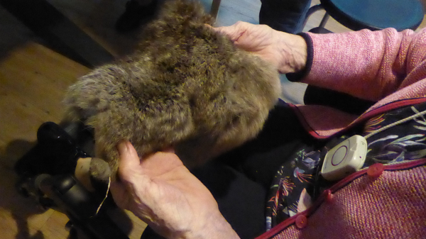 De Groene Visite haalt herinneringen naar boven