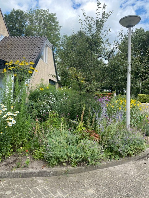 BUURTINITIATIEF HET ANDOORNPLEIN IN OLDENZAAL