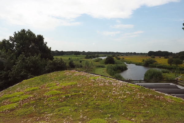 koppel De uitkijkpost over het sedumdak