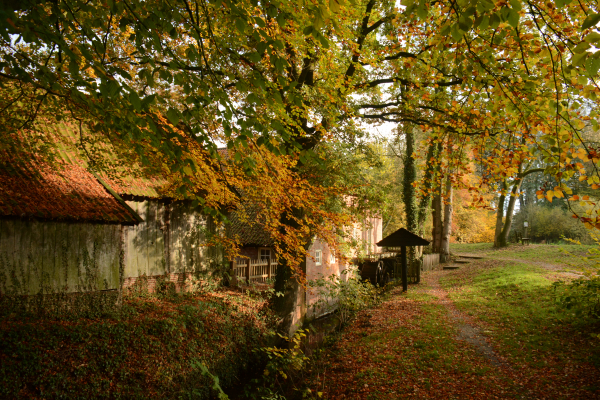 Molen van Frans in herfsttooi