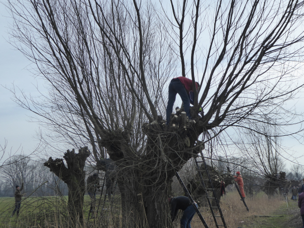 VLO Zwolle wint de Groene Prijs van Zwolle
