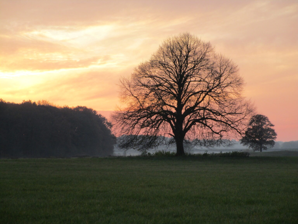 Welk bewonersinitiatief geeft jou inspiratie? - deel 2