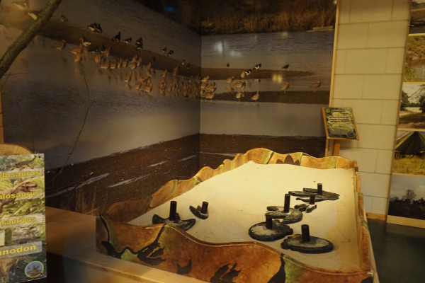 koppel Uitlegbak sporen in het wild