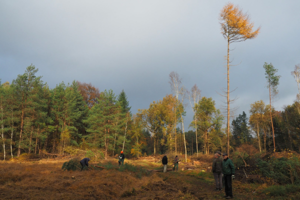 Werken op de Lonnekerberg