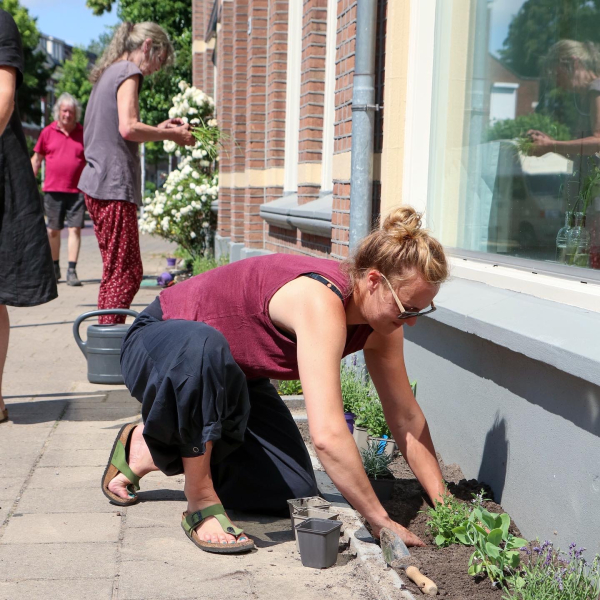 Geveltuinen ZoGroen: Winnaars van een ‘Zo Groene straat’ zijn bekend!